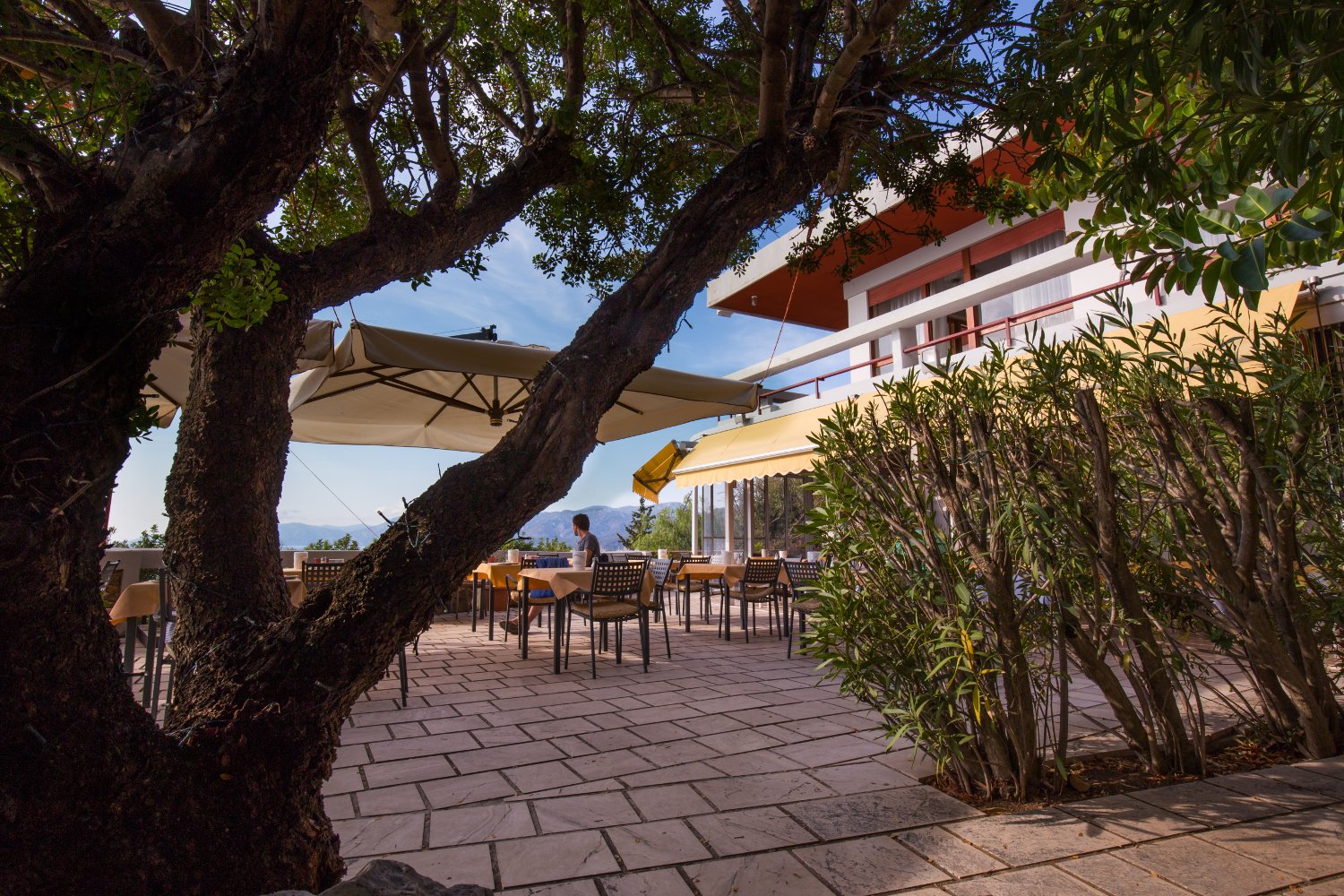 Ristorante cala gonone fronte mare
